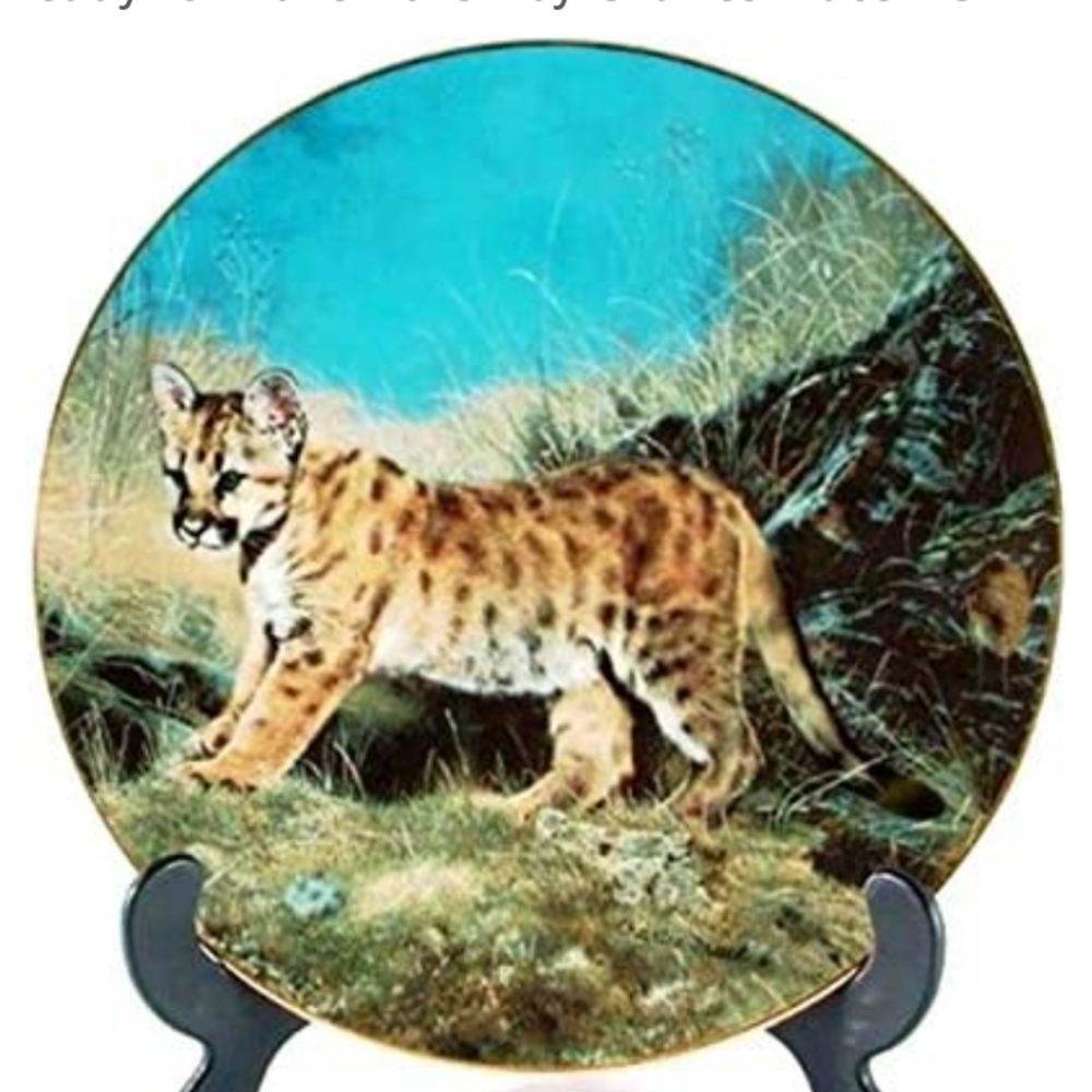 c1989 Hamilton Collection Plate - Small Wonders of The Wild - Ready for Adventur